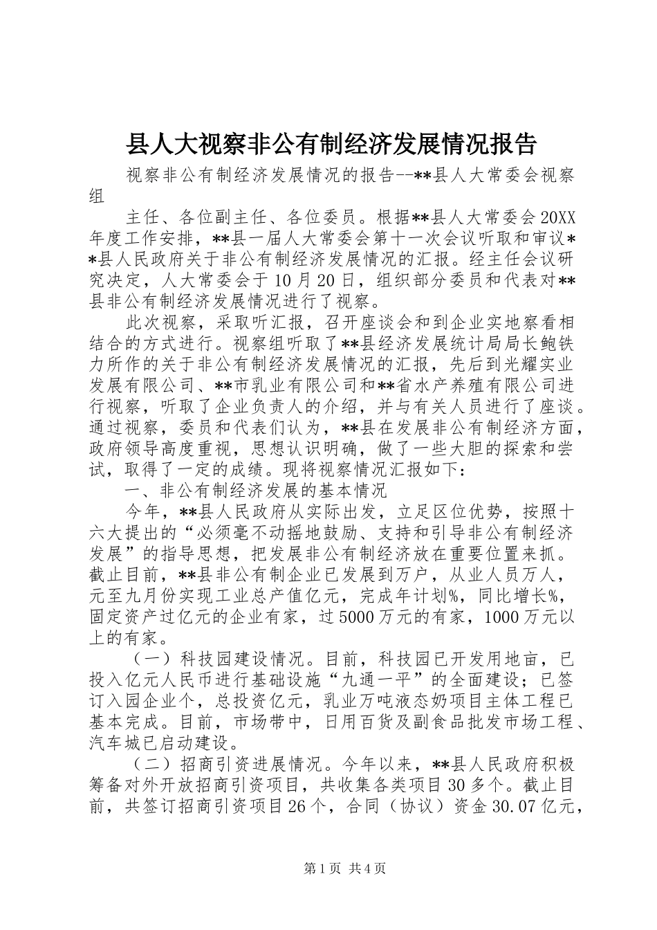 2024年县人大视察非公有制经济发展情况报告_第1页