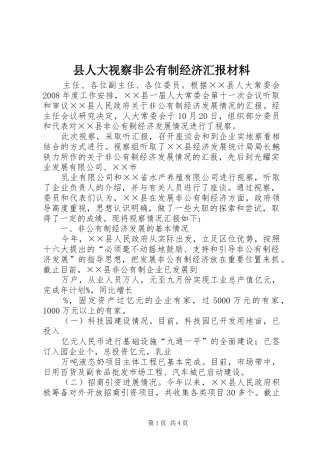 2024年县人大视察非公有制经济汇报材料