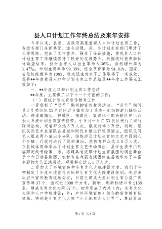 2024年县人口计划工作年终总结及来年安排