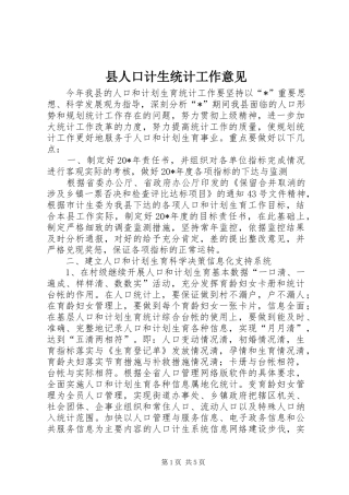 2024年县人口计生统计工作意见