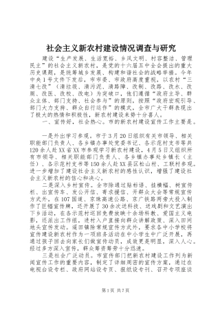 2024年社会主义新农村建设情况调查与研究