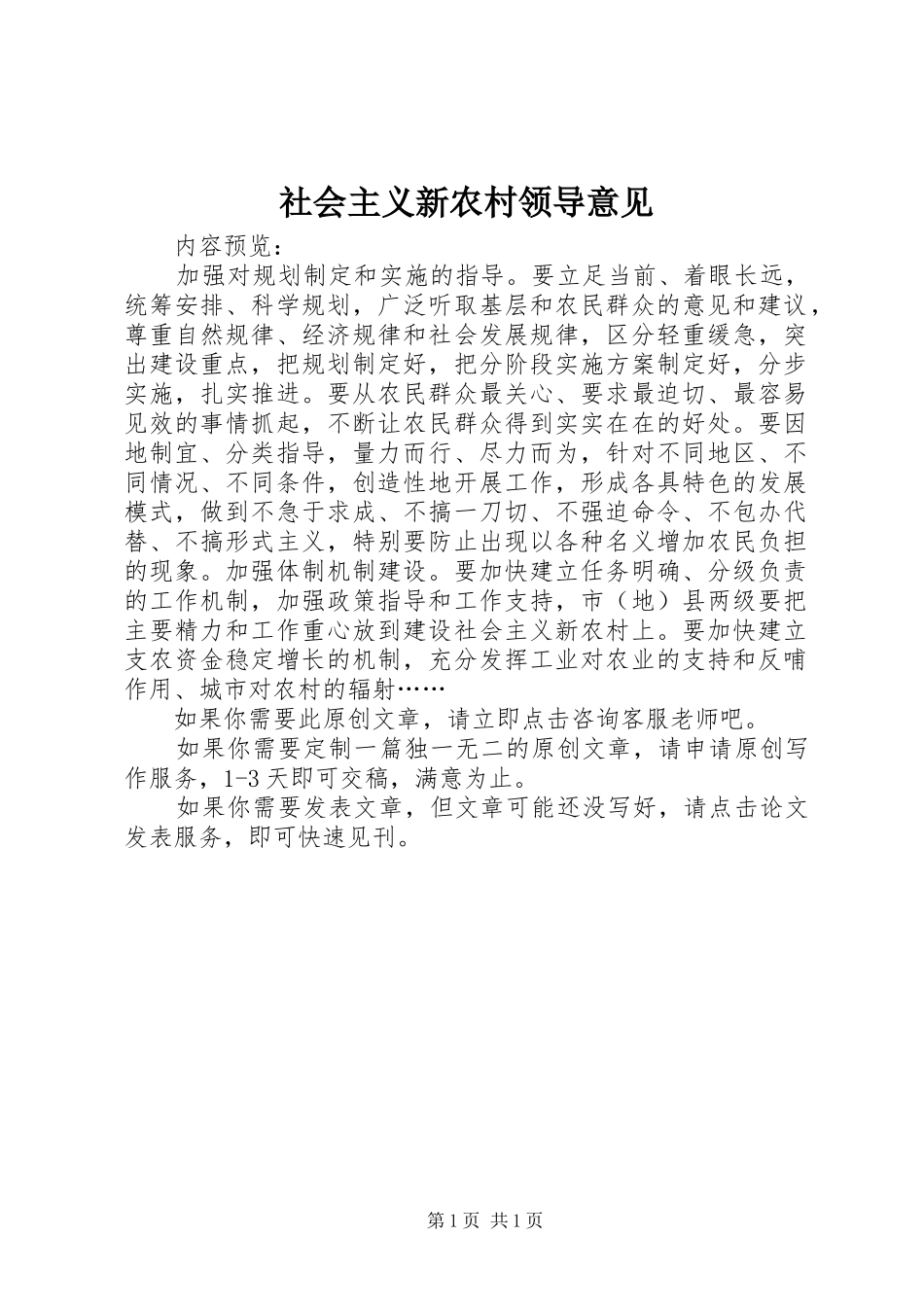 2024年社会主义新农村领导意见_第1页