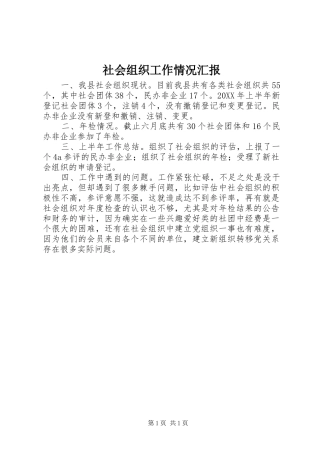 2024年社会组织工作情况汇报