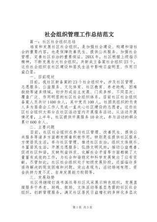 2024年社会组织管理工作总结范文