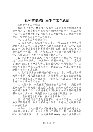 2024年社科劳资统计局半年工作总结