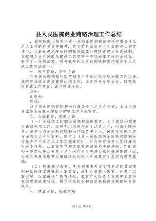 2024年县人民医院商业贿赂治理工作总结
