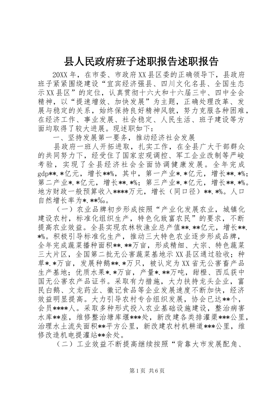 2024年县人民政府班子述职报告述职报告_第1页