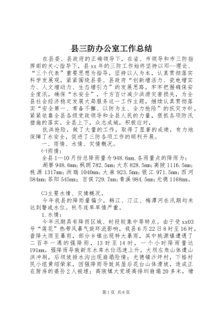 2024年县三防办公室工作总结