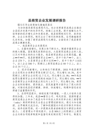 2024年县商贸企业发展调研报告