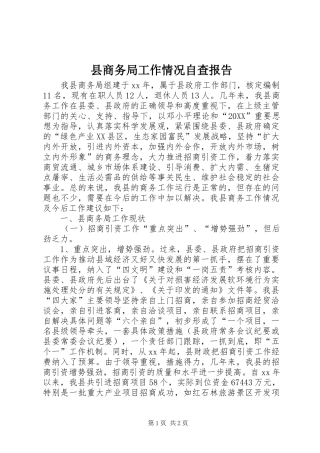 2024年县商务局工作情况自查报告