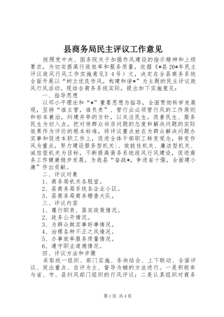 2024年县商务局民主评议工作意见