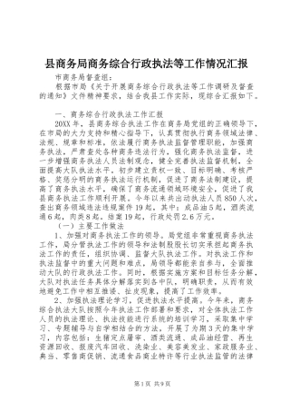 2024年县商务局商务综合行政执法等工作情况汇报