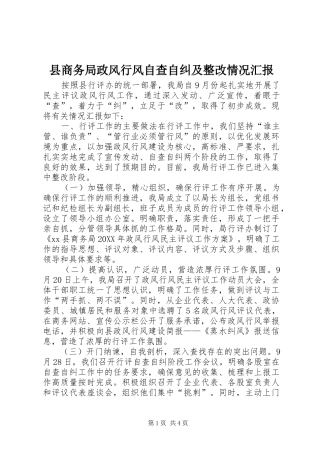 2024年县商务局政风行风自查自纠及整改情况汇报