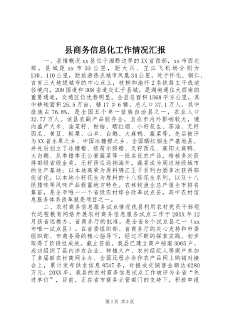 2024年县商务信息化工作情况汇报