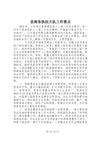 2024年县商务执法大队工作要点