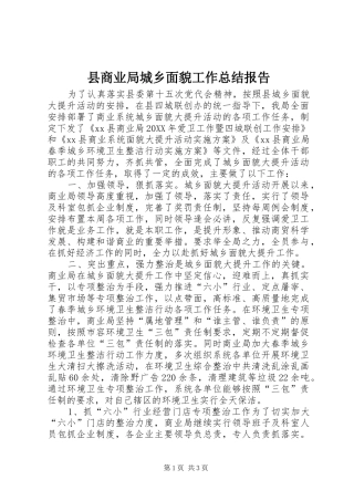 2024年县商业局城乡面貌工作总结报告