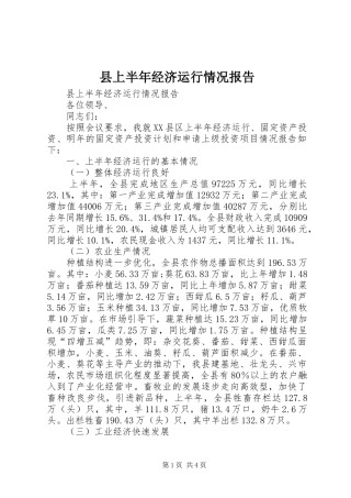 2024年县上半年经济运行情况报告