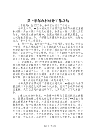 2024年县上半年农村统计工作总结