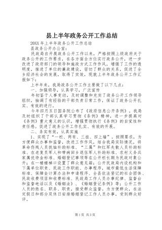 2024年县上半年政务公开工作总结