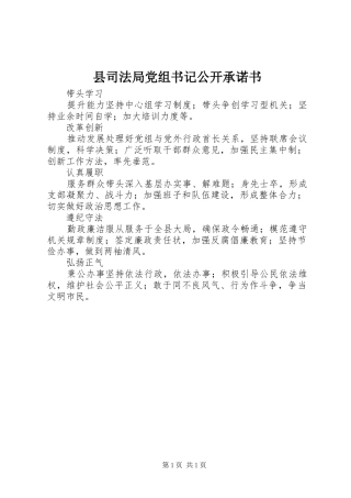 2024年县司法局党组书记公开承诺书