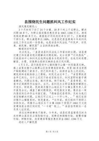 2024年县围绕民生问题抓纠风工作纪实