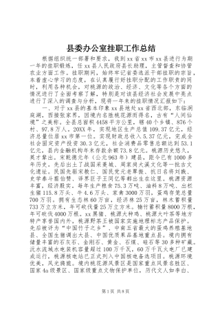 2024年县委办公室挂职工作总结