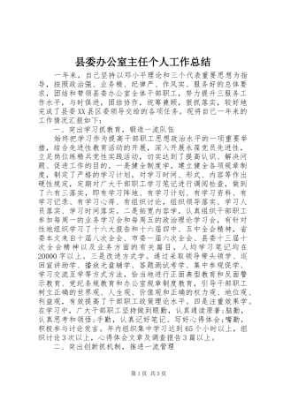 2024年县委办公室主任个人工作总结