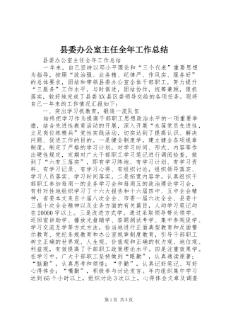 2024年县委办公室主任全年工作总结