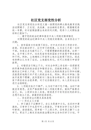 2024年社区党支部党性分析