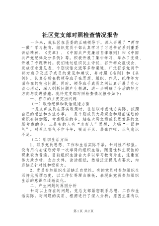 2024年社区党支部对照检查情况报告