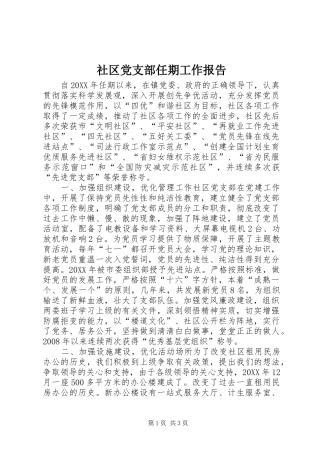 2024年社区党支部任期工作报告