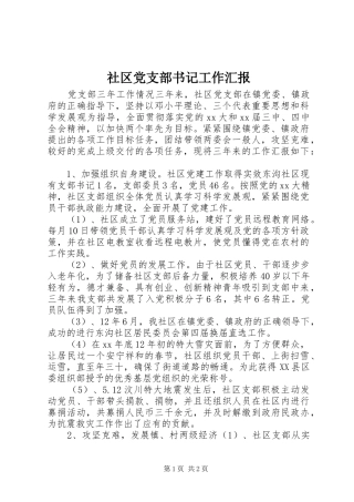 2024年社区党支部书记工作汇报
