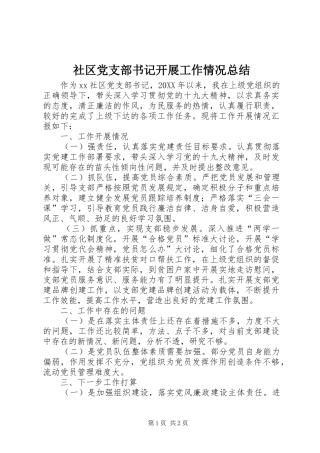 2024年社区党支部书记开展工作情况总结