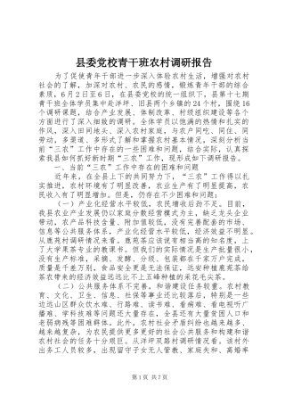 2024年县委党校青干班农村调研报告