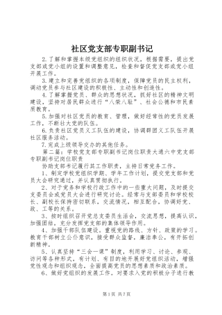 2024年社区党支部专职副书记