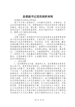 2024年县委副书记党性剖析材料