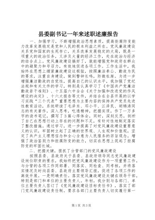 2024年县委副书记一年来述职述廉报告