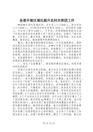 2024年县委开展区域化提升农村共青团工作