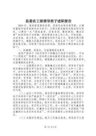 2024年县委农工部领导班子述职报告