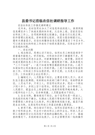 2024年县委书记莅临农信社调研指导工作