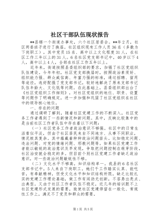 2024年社区干部队伍现状报告