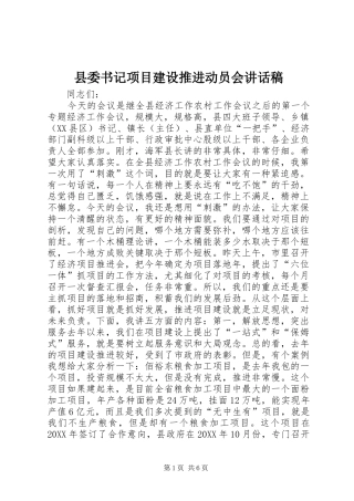 2024年县委书记项目建设推进动员会致辞稿
