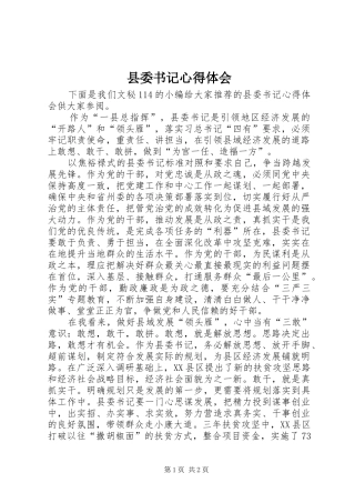 2024年县委书记心得体会