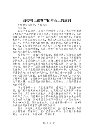 2024年县委书记在春节团拜会上的致词