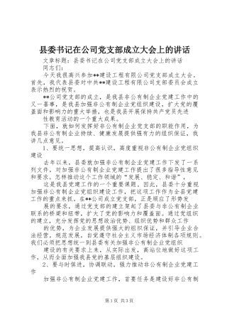 2024年县委书记在公司党支部成立大会上的致辞
