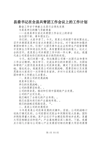 2024年县委书记在全县共青团工作会议上的工作计划