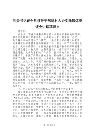 2024年县委书记在全县领导干部进村入企实践锻炼座谈会致辞稿范文