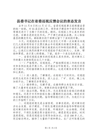 2024年县委书记在省委巡视反馈会议的表态讲话