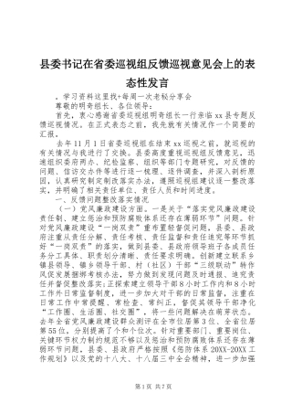 2024年县委书记在省委巡视组反馈巡视意见会上的表态性讲话
