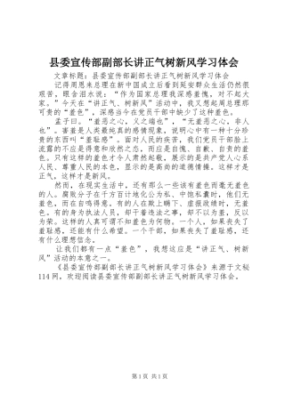 2024年县委宣传部副部长讲正气树新风学习体会